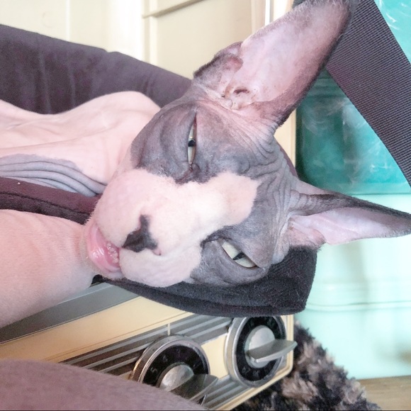 Meet your Posher, Katy - Picture 6 of 8